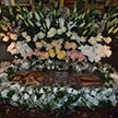 Плащаницы храмов Донского благочиния