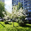 Освящение куличей. Фотогаллерея