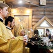Божественная Литургия в храме Живоначальной Троицы в Чертанове