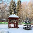 Рождество в Чертанове