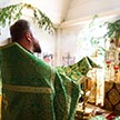 Праздник Троицы