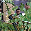 День святой Троицы в храме царя-страстотерпца Николая в Аннино