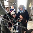 Пасхальные звоны