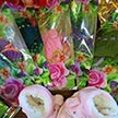 Воскресе Христос, и Жизнь жительствует
