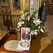 Божественная литургия в день годовщины приставления митрополита Иова (Тыванюка)