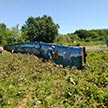 День святой Троицы в храме Покрова на Городне 2021 год