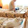 Рождество в Чертанове