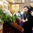 Божественная Литургия в храме Живоначальной Троицы в Чертанове