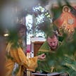 День святой Троицы в храме царя-страстотерпца Николая в Аннино