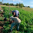 Трудническая поездка в село Елизарово