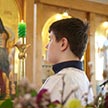 Вербное Воскресение в храме царя страстотерпца Николая в Аннино