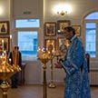 Благовещение Пресвятой Богородицы в храме царя страстотерпца Николая в Аннино