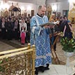 День празднования Державной иконы Божией Матери в Чертанове