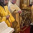 Божественная литургия в день годовщины приставления митрополита Иова (Тыванюка)