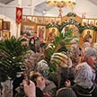 Вербное Воскресенье в храме Архистратига Божия Михаила в Царицыне