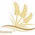 Православное движение «Колосок». Балаклея 2022