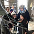 Пасхальные звоны