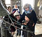 Пасхальные звоны