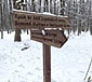 Лыжные занятия для детей