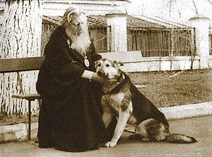Ярославль. Осень 1981
