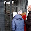 Паломническая поездка в Перервинскую обитель